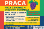 WINOBRANIE FRANCJA