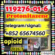 Protonitazene CAS 119276-01-6