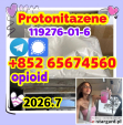 Protonitazene CAS 119276-01-6