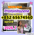 Protonitazene CAS 119276-01-6