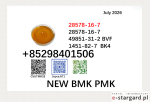 Hot sale BMK 5449-12-7 and 28578-16-7 PMK factory