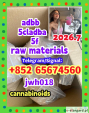 telegram/signal+852 65674560 ，