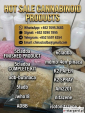 5cladba raw material 5CL-ADB-A precursor raw 5cladba 5f adb