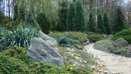 Ogród Dendrologiczny w Przelewicach