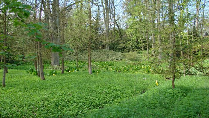 Ogród Dendrologiczny w Przelewicach