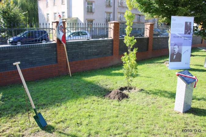 Posadzenie "Dębu pamięci"- FOTORELACJA