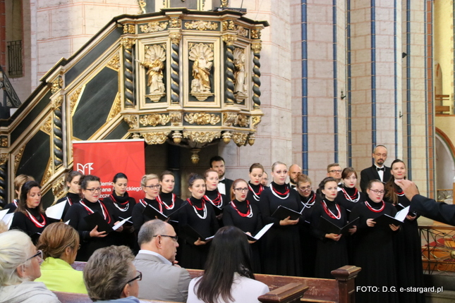 Międzynarodowy Dzień Muzyki w stargardzkiej Kolegiacie - GALERIA