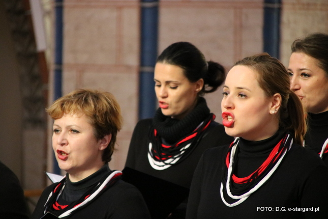 Międzynarodowy Dzień Muzyki w stargardzkiej Kolegiacie - GALERIA