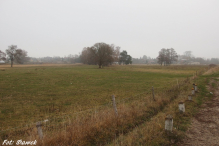 Stargard na Rowery - 100 km na 100-lecie Niepodległości. GALERIA.