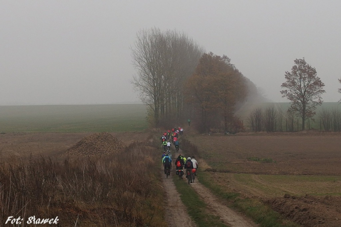 Stargard na Rowery - 100 km na 100-lecie Niepodległości. GALERIA.