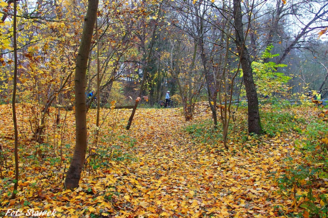 Stargard na Rowery - 100 km na 100-lecie Niepodległości. GALERIA.