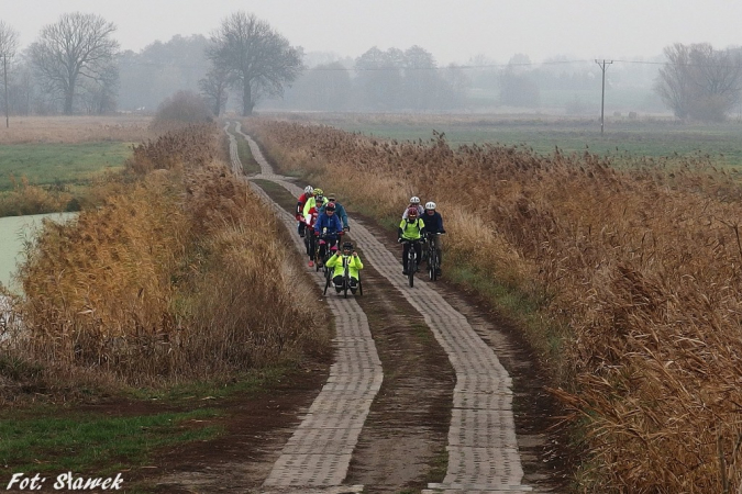 Stargard na Rowery - 100 km na 100-lecie Niepodległości. GALERIA.