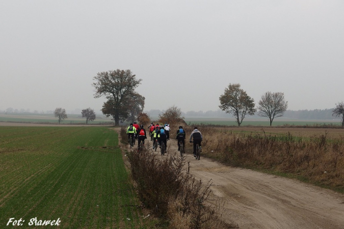 Stargard na Rowery - 100 km na 100-lecie Niepodległości. GALERIA.