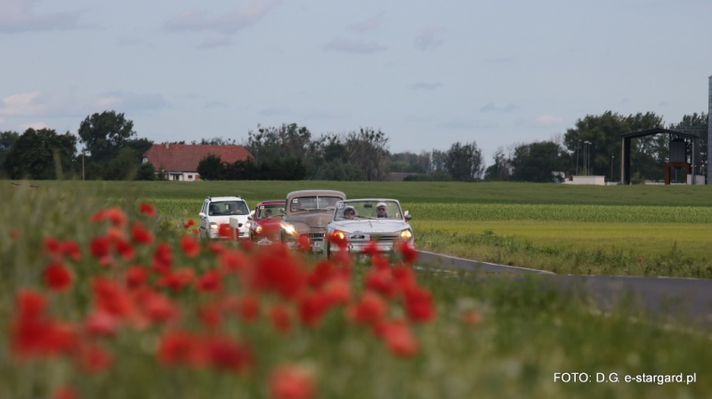 XII Miedwiański Zlot Pojazdów Zabytkowych - Galeria. Cz.1