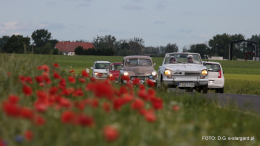 XII Miedwiański Zlot Pojazdów Zabytkowych - Galeria. Cz.1