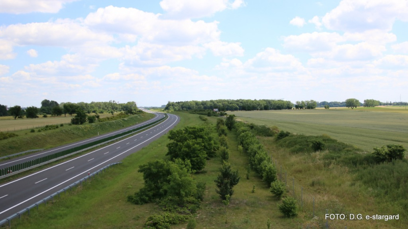 Przejażdżka w angielskim stylu - GALERIA