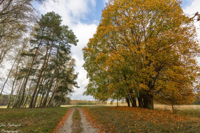 Żegnaj jesień na rok. Photos by Jan Rybaczuk