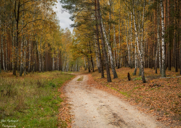 Żegnaj jesień na rok. Photos by Jan Rybaczuk