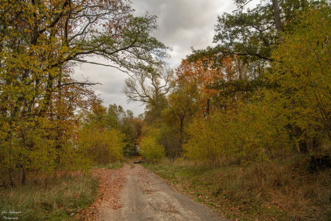 Żegnaj jesień na rok. Photos by Jan Rybaczuk