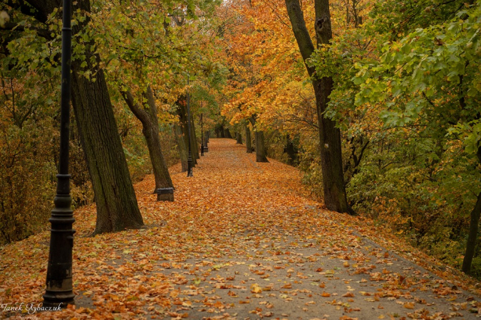 Żegnaj jesień na rok. Photos by Jan Rybaczuk