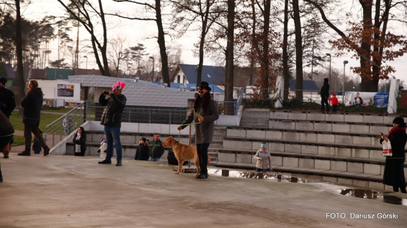 Noworoczna kąpiel Miedwiańskich Morsów - GALERIA