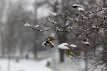 Nowy Rok w śnieżnych klimatach. W obiektywie Anny Wardal