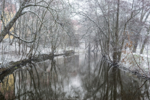 Nowy Rok w śnieżnych klimatach. W obiektywie Anny Wardal