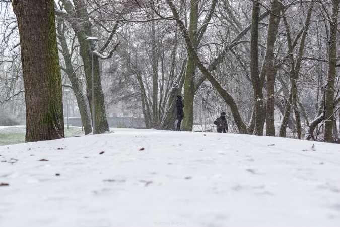 Nowy Rok w śnieżnych klimatach. W obiektywie Anny Wardal