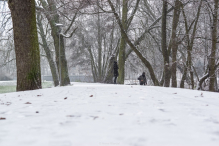 Nowy Rok w śnieżnych klimatach. W obiektywie Anny Wardal