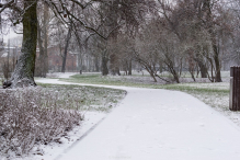 Nowy Rok w śnieżnych klimatach. W obiektywie Anny Wardal