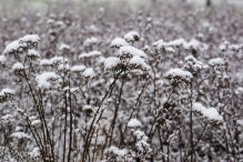 Nowy Rok w śnieżnych klimatach. W obiektywie Anny Wardal