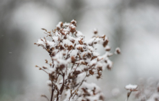 Nowy Rok w śnieżnych klimatach. W obiektywie Anny Wardal