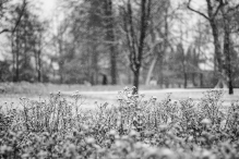 Nowy Rok w śnieżnych klimatach. W obiektywie Anny Wardal