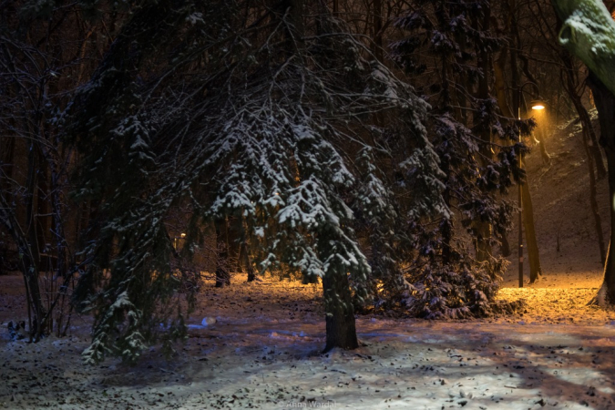 Nowy Rok w śnieżnych klimatach. W obiektywie Anny Wardal