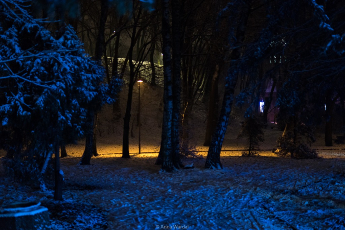 Nowy Rok w śnieżnych klimatach. W obiektywie Anny Wardal