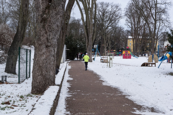 29. Finał WOŚP w Stargardzie - GALERIA