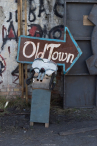 OldTown Focus 2021 - Photos by Anna Wardal