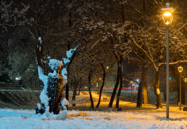 Stargard śniegiem otulony - GALERIA