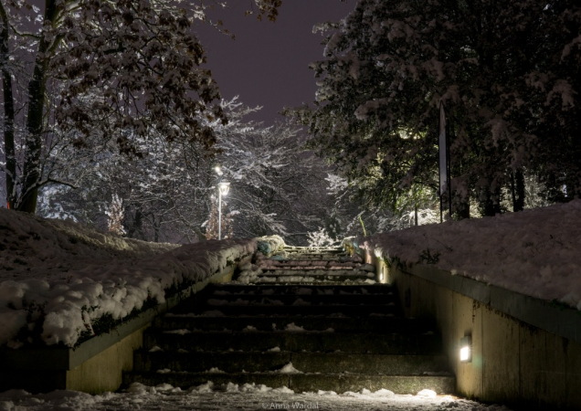 Stargard śniegiem otulony - GALERIA