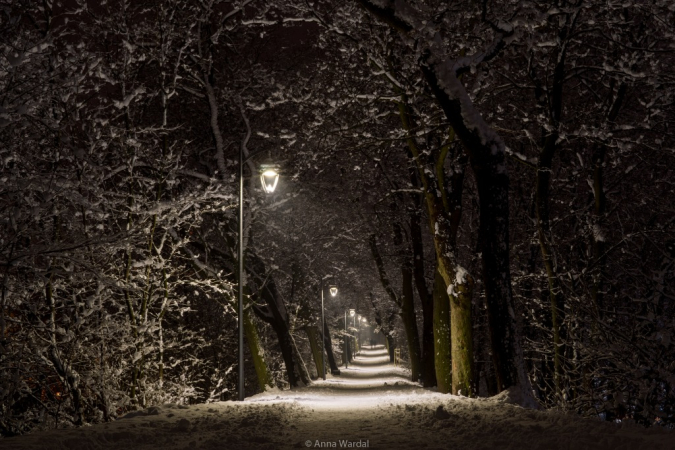 Stargard śniegiem otulony - GALERIA