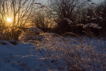 Zima wokół Stargardu. Photos by Anna Wardal