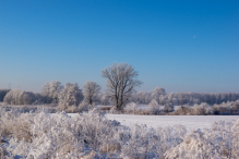 Zima wokół Stargardu. Photos by Anna Wardal