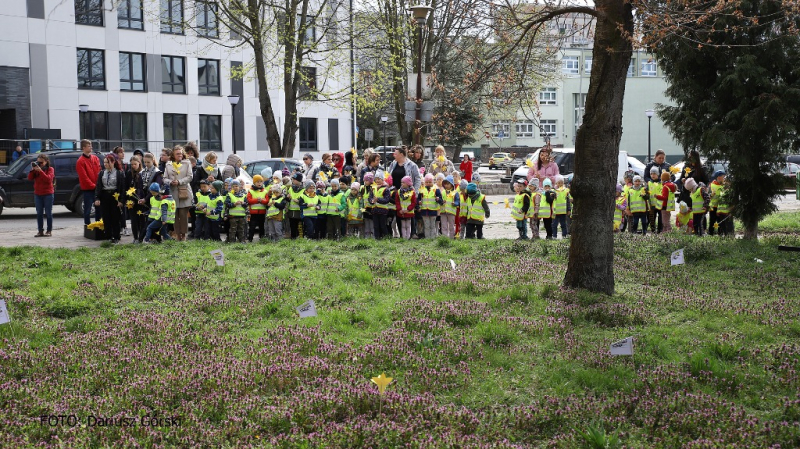 Ogród Pamięci znów zakwitł w Stargardzie. Fotorelacja