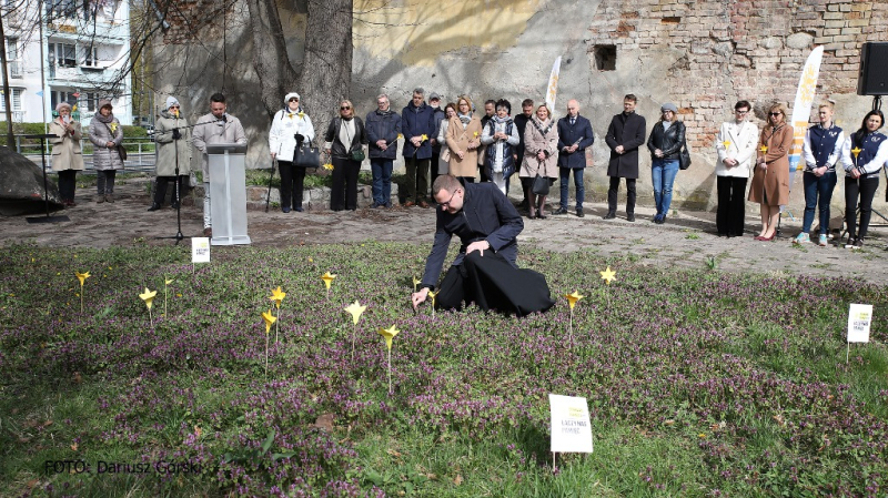 Ogród Pamięci znów zakwitł w Stargardzie. Fotorelacja