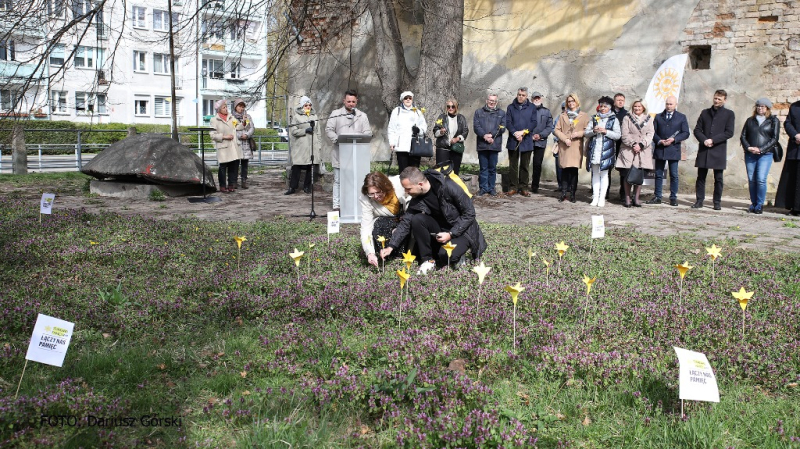 Ogród Pamięci znów zakwitł w Stargardzie. Fotorelacja