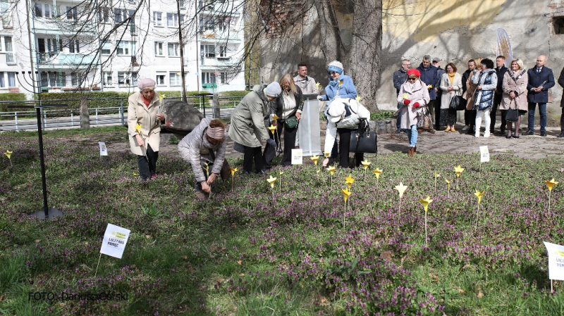 Ogród Pamięci znów zakwitł w Stargardzie. Fotorelacja