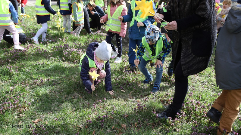 Ogród Pamięci znów zakwitł w Stargardzie. Fotorelacja