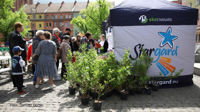 Dzień Pionierów w Stargardzie. Galeria cz.1