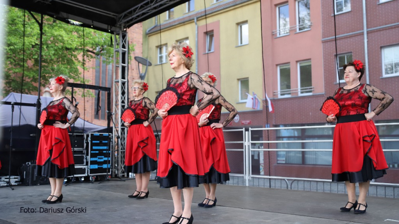 Dzień Pionierów w Stargardzie. Galeria cz.1