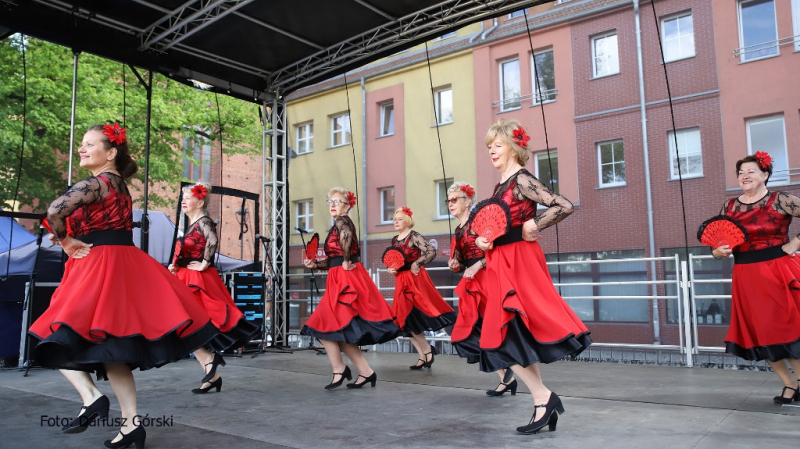 Dzień Pionierów w Stargardzie. Galeria cz.1